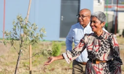 Saint-Denis : le premier arbre de sa micro-forêt urbaine planté 