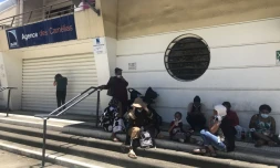 Sit-in SIDR camélia