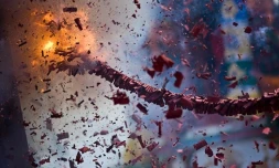 La vente de pétards réglementée