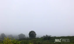 météo réunion