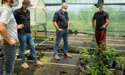 Partenariat Parc national de La Réunion et Armeflhor