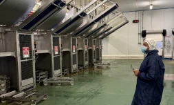 Étang-Salé : David Lorion en visite à l'abattoir Evollys