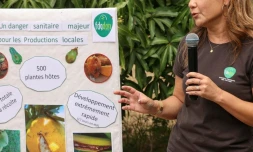 Le Département soutient la lutte contre les rats et les mouches des fruits