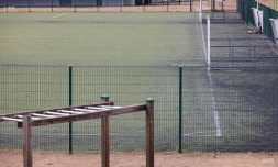sports coronavirus 