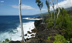 paysage de l'est 