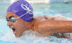 Natation 