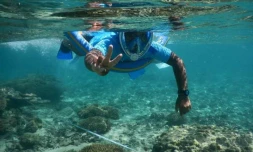 Des élèves de CM2 de Saint-Leu veillent sur leur aire maritime éducative.