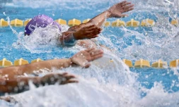 Natation