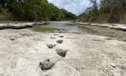 La sécheresse laisse apparaître des traces de dinosaures dans le lit d'une rivière texane