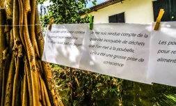 des poules pour réduire nos déchets TCO