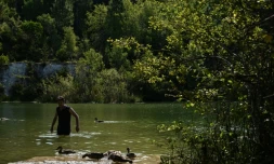 Un homme se rafraîchit dans l'étang de l'Ermitage à Lormont, près de Bordeaux, le 11 août 2024 