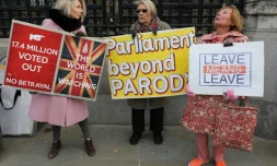 Des manifestantes pro-Brexit brandissent des pancartes devant le Parlement britannique Ă Londres, le 29 octobre 2019