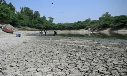 Des personnes ramassent des poissons morts dans un lac partiellement asséché lors d'une vague de chaleur à New Delhi, le 22 mai 2026