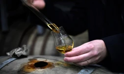 Prélèvement de whisky à la distillerie Warenghem, le 13 novembre 2018 à Lannion