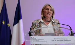 La ministre de la Santé, Stéphanie Rist, lors d'une conférence de presse faisant le point sur la situation concernant l'hantavirus, le 12 mai 2026 à Paris