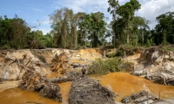 Des membres du 9e régiment d'infanterie de marine et des gendarmes inspectent des sites d'orpaillages illégaux en Guyane, le 20 janvier 2019