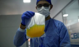Une poche de plasma, tenue par un interne Ă Bogota (Colombie)