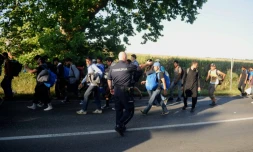 Des migrants marchent près de Belgrade, le 22 juillet 2016