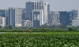 Les zones humides Ă l'est de Calcutta, le 21 mars 2023 en Inde