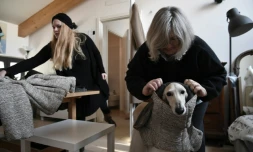 La conceptrice italienne Giovanna Temellini fait essayer un vĂȘtement Ă un chien Ă Milan, le 5 dĂ©cembre 2017