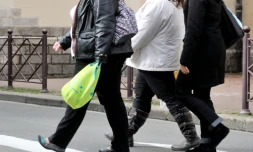 Entre 30 et 69 ans, "près d'un Français sur deux" est en surpoids et plus de 15% de cette tranche d'âge est touchée par l'obésité, selon une étude publiée par l'Inserm