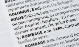 Photo prise le 18 mai 2015 d'une page du Petit Larousse