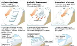 Les différents types d'avalanche
