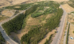 Une vue aérienne montre des arbres plantés dans le parc Hawary Shar, à Souleimaniyeh, de la région autonome du Kurdistan, dans le nord de l'Irak, le 10 juillet 2024