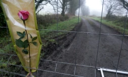 Une rose attachée à une grille fermant l'accès de la ferme Hubert Caouissi, soupçonné de l'assassinat de la famille Troadec, à Pont-de-Buis (sud-ouest) le 10 mars 2017
