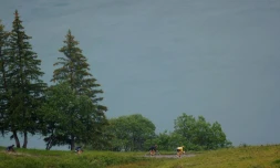 Tadej Pogacar vêtu du maillot jaune mène le peloton au cours de la 9e étape du Tour de France, le 4 juillet 2021 entre Cluses et Tignes