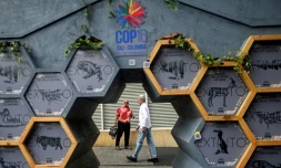 Des personnes passent devant une exposition d'espèces disparues dans la zone verte du sommet COP16 à Cali, en Colombie, le 28 octobre 2024.