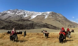 Des familles kirghizes se déplacent à dos de yaks, le 7 octobre 2017 dans le corridor de Wakhan, dans l'extrémité nord-est de l'Afghanistan