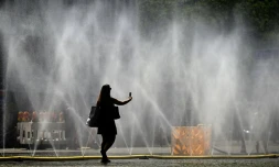 Une femme prend une photo de tuyaux d'arrosage déversant de l'eau pour apporter un peu de fraîcheur face à la chaleur estivale, à Cologne, dans l'ouest de l'Allemagne, le 25 juin 2026