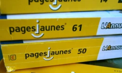 Le groupe, outre les Pages Jaunes, exploite aussi le site Mappy