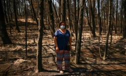 Eleni Haniosakis au milieu d'arbres calcinés, près de sa maison qui a brûlé dans les feux de forêt à Krioneri, au nord d'Athènes, le 13 août 2021 en Grèce