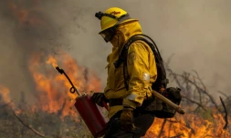 Un pompier allume un contrefeu pour stopper l'avancée de l'incendie Oak Fire, près de Mariposa (Californie), le 24 juillet 2022