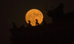 La Lune photographiée au-dessus d'une tour de la Cité interdite à Pékin, le 14 novembre 2016