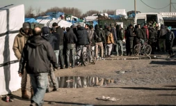Des migrants dans la "Jungle" de Calais, dans le Pas-de-Calais, le 16 février 2016