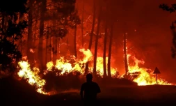 Incendie près de Belin-Béliet, en Gironde, dans le sud-ouest de la France, le 11 août 2022