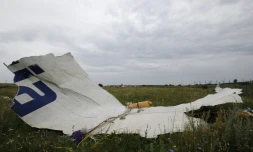 Des débris du Boeing 777 du vol MH17 de la Malaysia Airlines, le 18 juillet 2014 à Shaktarsk en Ukraine