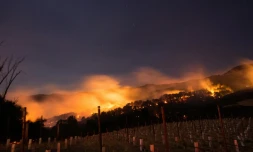 Incendie dans la région viticole de Napa, en Californie, le 9 octobre 2017
