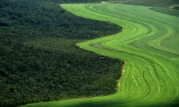 The Intergovernmental Panel for Climate Change special report on land use is expected to warn how industrialised food chains, rampant resource exploitation, and even efforts to stave off the worst effects of global warming, are jeopardising our future ability to feed ourselves