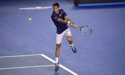 Novak Djokovic, le 20 janvier 2016, à Melbourne