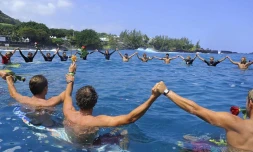 Dimanche 25 septembre 2011 - Hommage à Mathieu Schiller au Manapany surf festival
(Photos Vincent Dunogué - http://www.flickr.com/photos/photo974/)