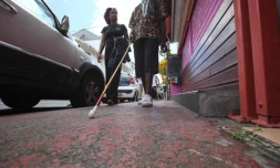 Mercredi 28 Septembre 2011
Marche des déficients visuels