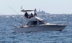 Mercredi 28 Septembre 2011



Opération de pêche de requins autorisée par la préfecture devant Boucan Canot