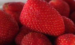 Fraises