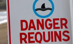 Sea Sheperd France interpelle la Fédération Française de Surf