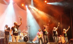 Samedi 8 octobre 2011 - Concert de Magic System au Festival Kaloo Bang (Photo image-reunion.re)