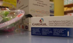 Gardasil (Photo Émilie Sorres)